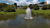 GIF by The University of Bath