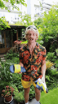 Tropischesjon GIF by Lidl