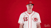 Baseball Mlb GIF by Cincinnati Reds