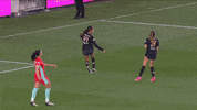 Womens Soccer Ugh GIF by National Women's Soccer League