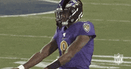 Regular Season Football GIF by NFL