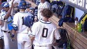 umichathletics donovan highfives michiganbaseball GIF