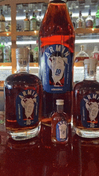 Armin GIF by Armagnac-armin