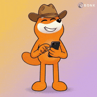 Cowboy Hat Taking Photo GIF by BONK