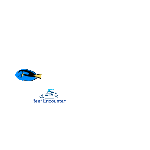 Reef_Experience ocean dive diving gbr Sticker