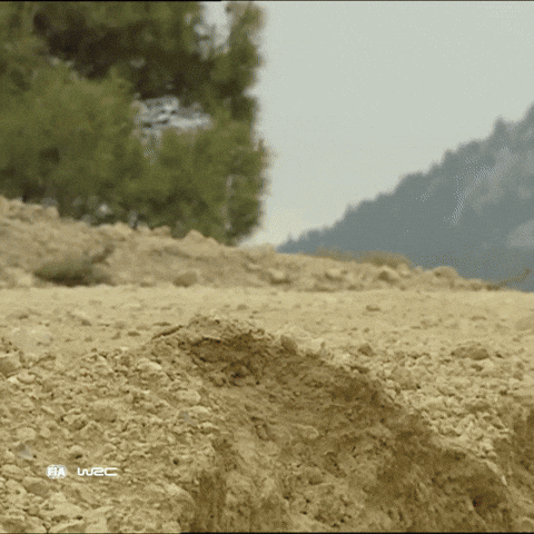 Group B GIF by FIA World Rally Championship