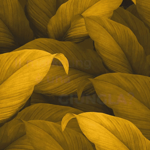 casawalden giphygifmaker marketing brand business GIF