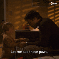 Season 6 Showtime GIF by Dexter