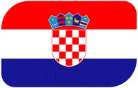 World Cup Football GIF