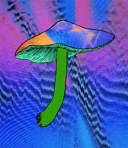 cypola giphyupload trippy vhs mushroom GIF