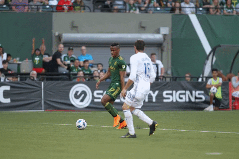 celebrate san jose earthquakes GIF by Timbers