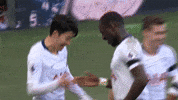 Come On You Spurs Son Heung Min GIF by Tottenham Hotspur