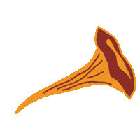 Mushroom Chanterelle Sticker by marktschwaermer