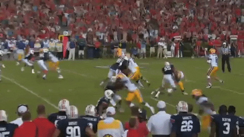 carolinefohrellsterritt giphygifmaker GIF