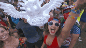 insomniacevents edc insomniac edcorlando GIF