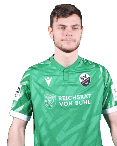 3Liga Wirechtanders Sticker by SV Sandhausen