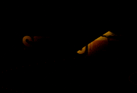 Samuelalves2 sextou GIF