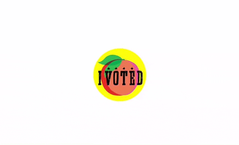 Election Voting GIF
