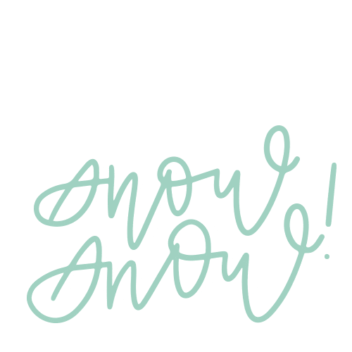 christmas snow Sticker by DeBrosse