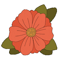 Cactus Flower Summer Sticker by Studio Neuhaus