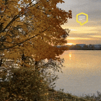 Colors Love GIF by Linz News