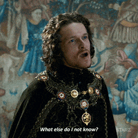 season 1 starz GIF by The White Princess