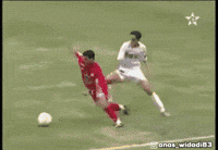 Morocco Winners GIF