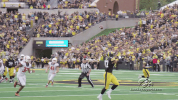 hawks GIF by University of Iowa Hawkeyes Athletics