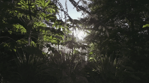 nowness giphygifmaker nowness jardin great gardens GIF