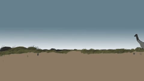 emu GIF