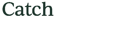 Summer Wave Sticker by Oakheart Property