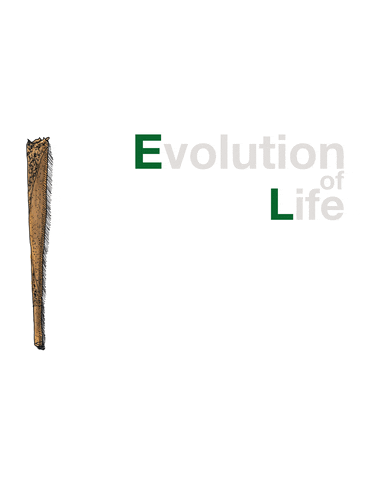 BarrioDelTacos giphyupload art smoking evolution GIF