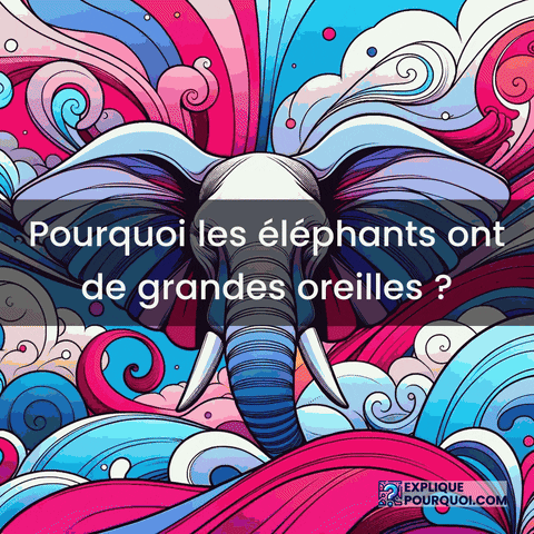 Adaptation Oreilles Éléphants GIF by ExpliquePourquoi.com
