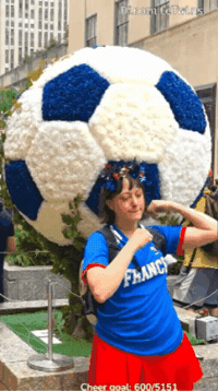 4Th Of July Allez Les Bleus GIF