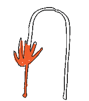 Liful Sticker by LMC_lostmanagementcities