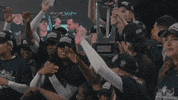Rice University Celebration GIF by Rice Owls