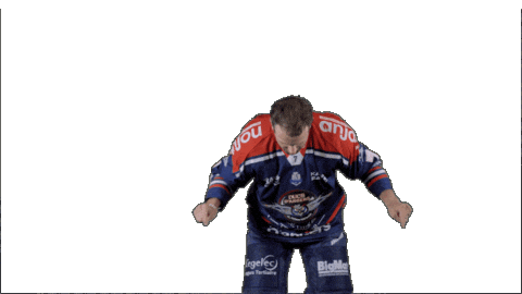 Ducs Dangers Hockey Sticker by Les Ducs d'Angers