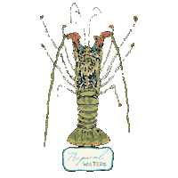 Ocean Fishing Sticker by Tropical Waters