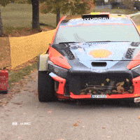 Wheel Wtf GIF by FIA World Rally Championship