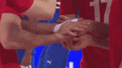 Game Celebrate GIF by Volleyball World