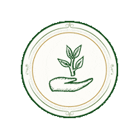 Hand Grow Sticker by Santa Sabia Media
