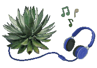 Musica Tequila Sticker by Santa Sabia Media