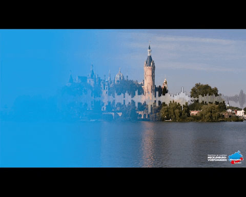 AfDFraktionMV giphygifmaker GIF