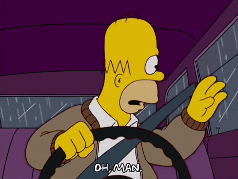 homer simpson GIF