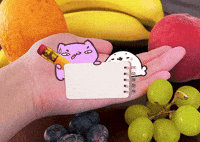Cat Kitty GIF