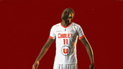 choletbasket sport basketball basket cb GIF