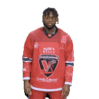 France Hockey Sticker by diablesrougesvalenciennes