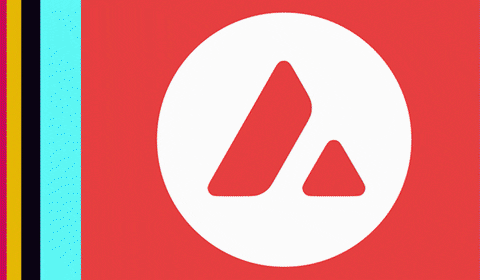 mariosfame giphyupload GIF