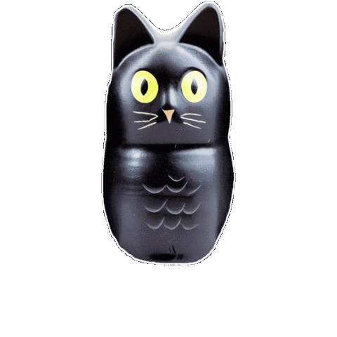 DXJLLC giphygifmaker cat blackcat Sticker