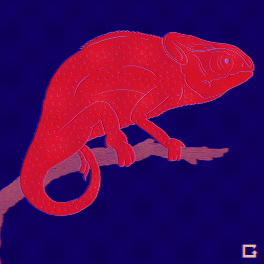 panther chameleon GIF by gifnews